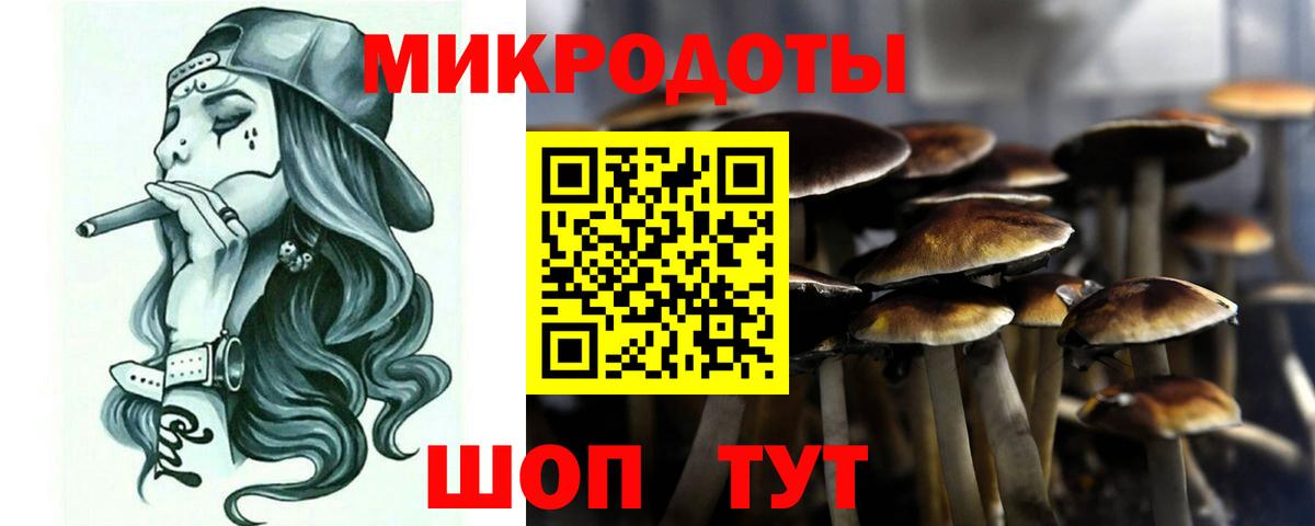 Галлюциногенные грибы Cubensis  Вход с VPN  Солнечногорск 