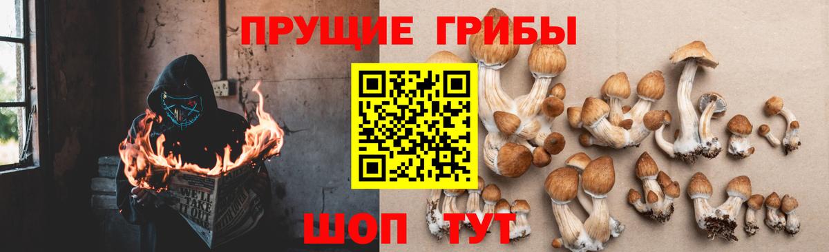 Псилоцибиновые грибы MAGIC MUSHROOMS Солнечногорск
